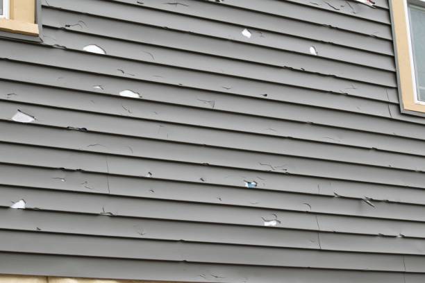 Professional Siding in Colfax, IA